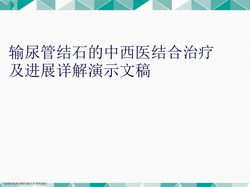 输尿管结石的中西医结合治疗及进展详解演示文稿