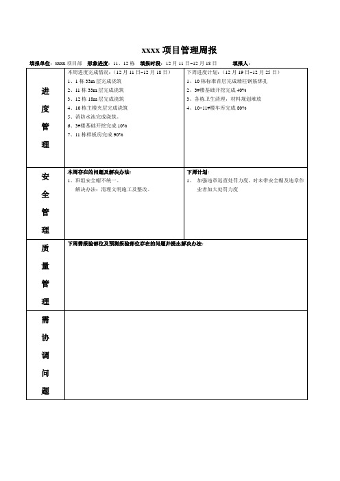 项目管理周报