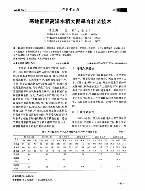 寒地低温高湿水稻大棚旱育壮苗技术