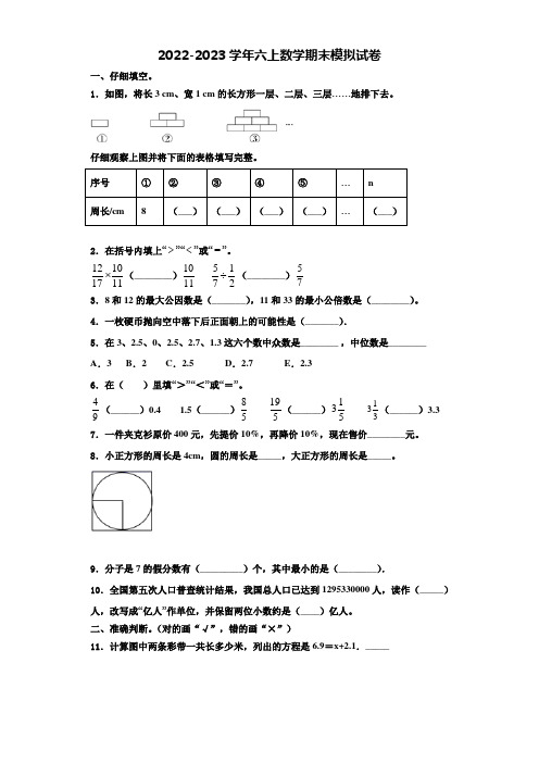 2023届陕西省榆林市府谷县数学六上期末学业水平测试模拟试题含解析