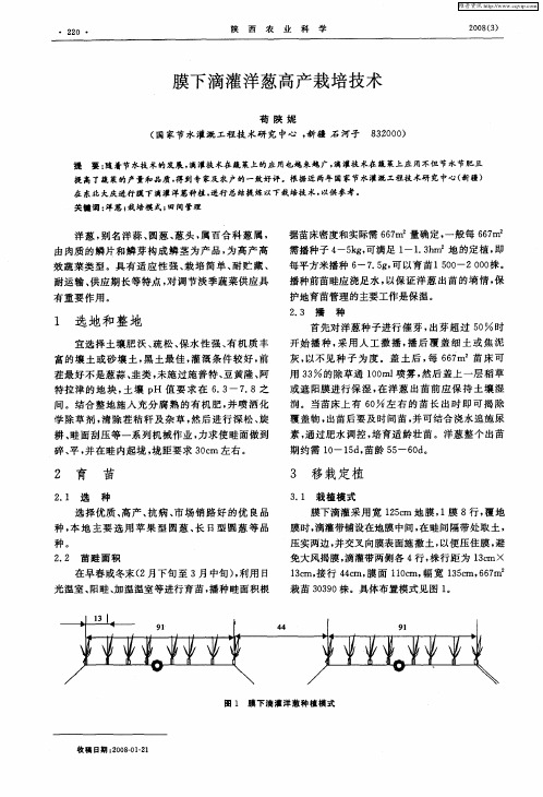 膜下滴灌洋葱高产栽培技术