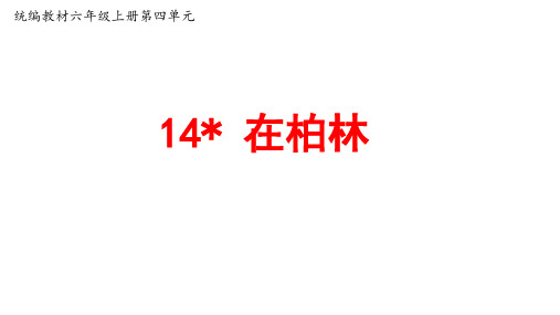 最新部编人教版语文六年级上册第14课《在柏林》公开课PPT课件