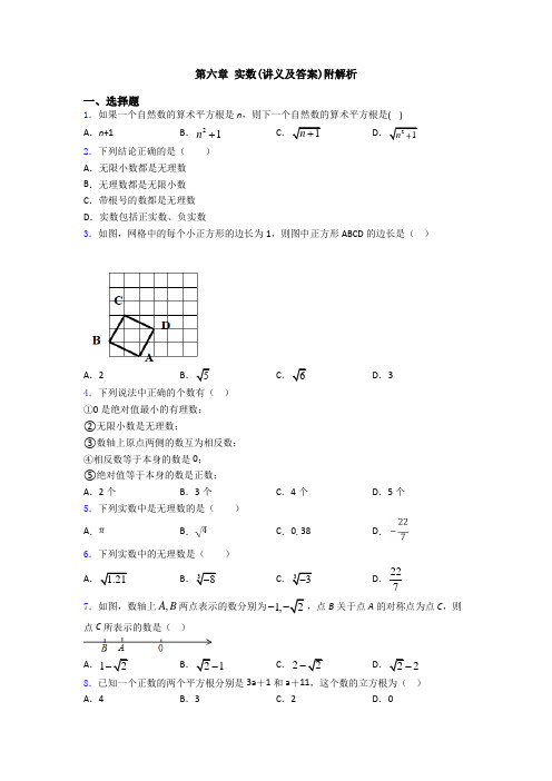 第六章 实数(讲义及答案)附解析