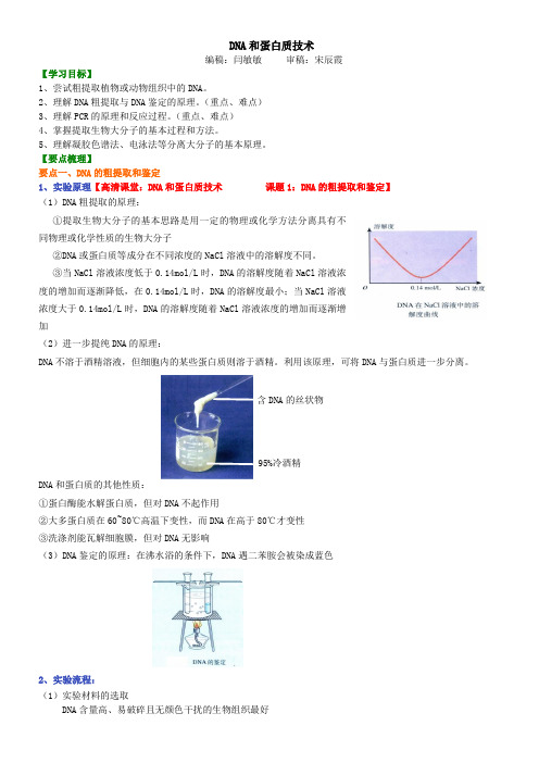 高中生物20DNA和蛋白质技术-知识讲解