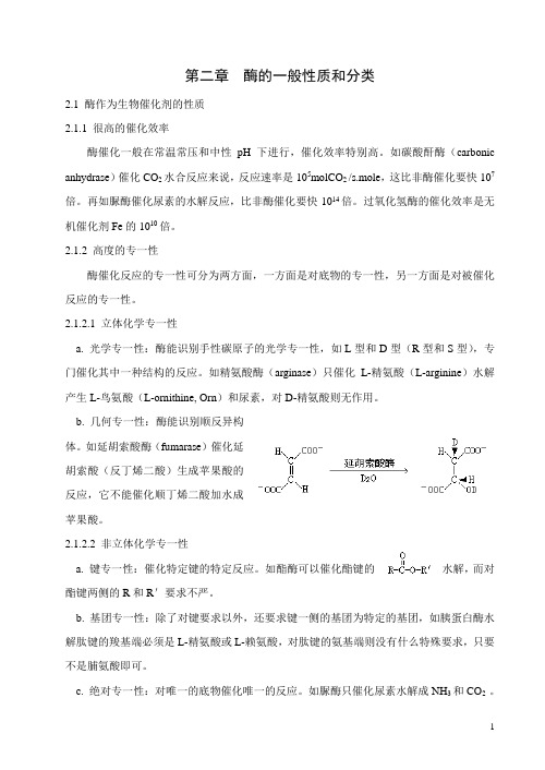 酶学第二章一般性质
