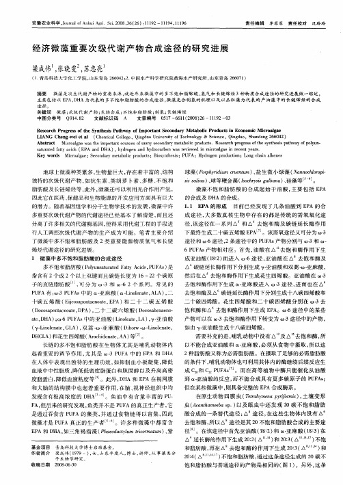 经济微藻重要次级代谢产物合成途径的研究进展