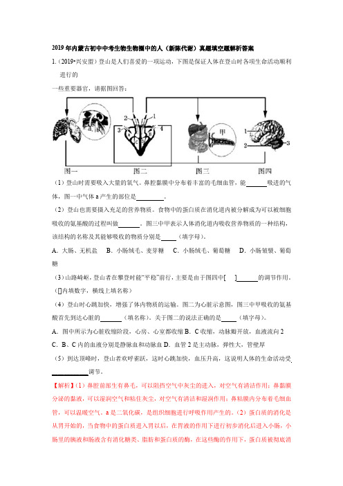 2019年内蒙古初中中考生物生物圈中的人(新陈代谢)真题填空题解析答案