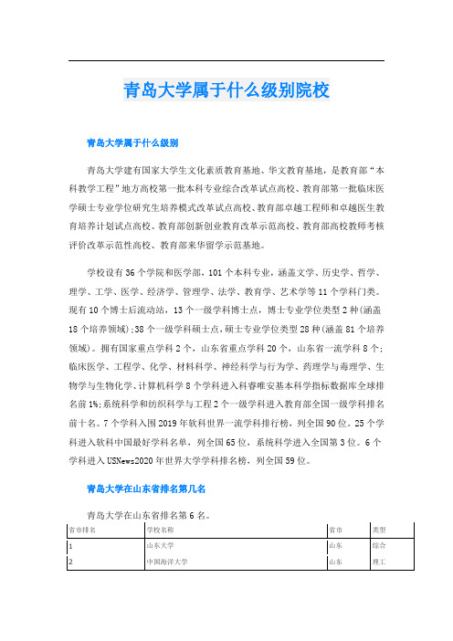 青岛大学属于什么级别院校