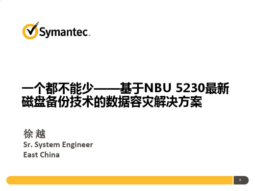 一个都不能少——基于NBU 5230最新磁盘备份技术的数据容灾解决方案