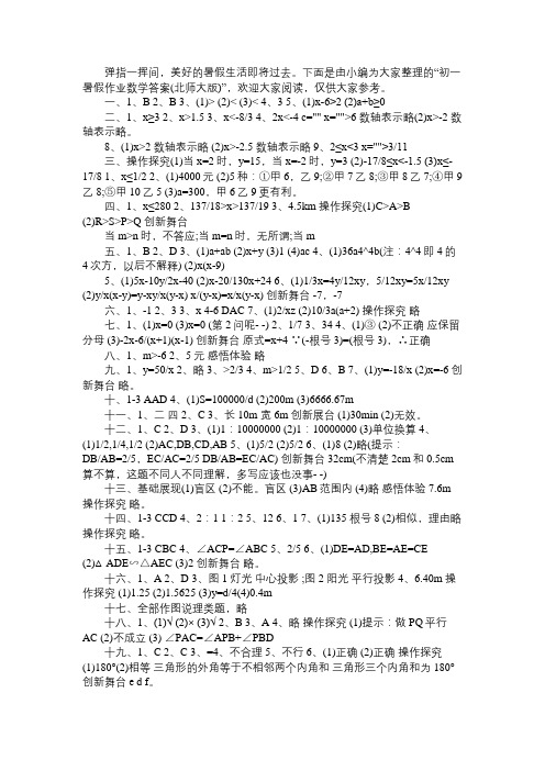 初一暑假作业数学答案(北师大版)