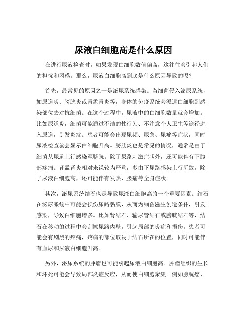 尿液白细胞高是什么原因