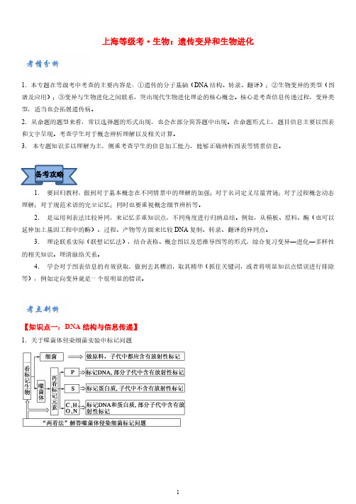 上海等级考·生物：遗传变异和生物进化(学生版)