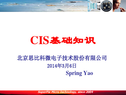 CIS 基础知识ppt课件