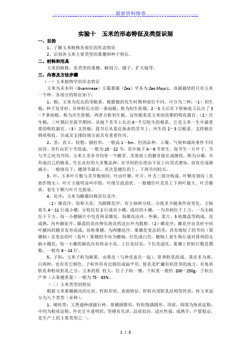 玉米的形态特征及类型识别