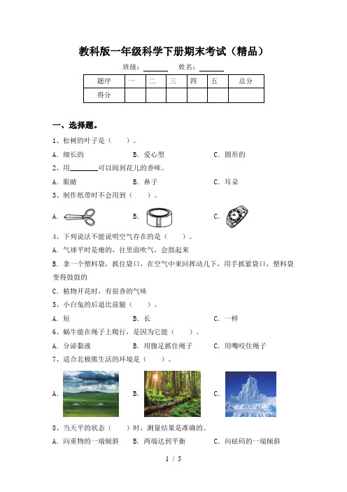 教科版一年级科学下册期末考试(精品)