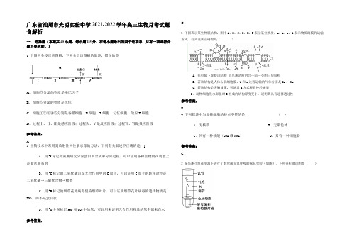 广东省汕尾市光明实验中学2021-2022学年高三生物月考试题含解析