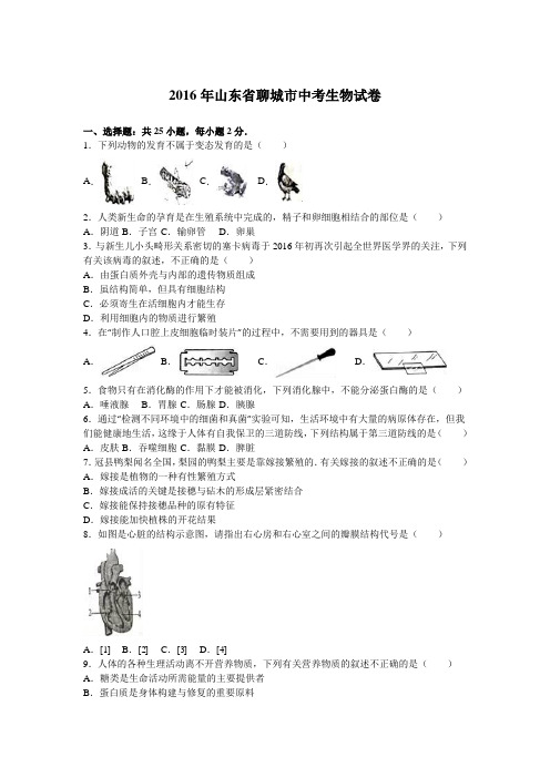 山东省聊城市2016年中考生物试题(word版,含解析)