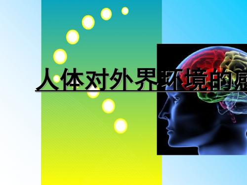 人体对外界环境的感知公开课教学课件共34张PPT含两个 (3份打包)