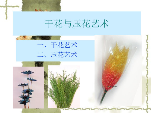 第十章 干花与压花.ppt