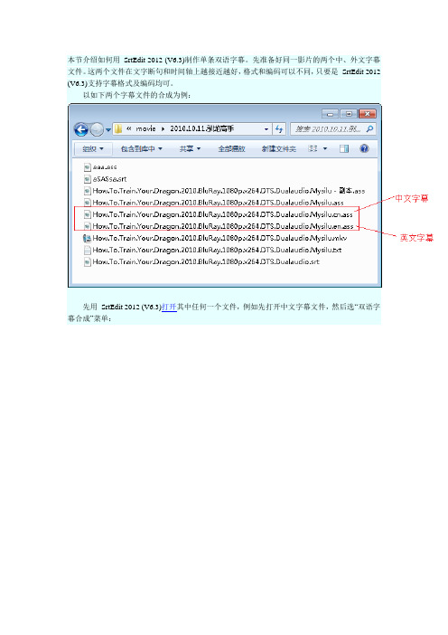 SrtEdit 2012 (V6.3)制作单条双语字幕教程