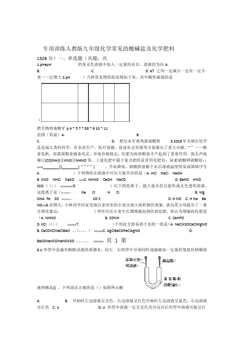 人教版九年级化学 常见的酸碱盐及化学肥料 专项训练 精选教育文档