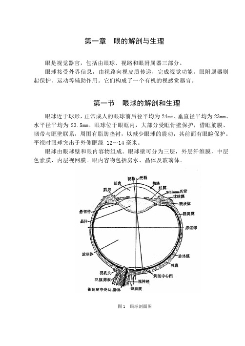 眼科教材： 眼的解剖与生理