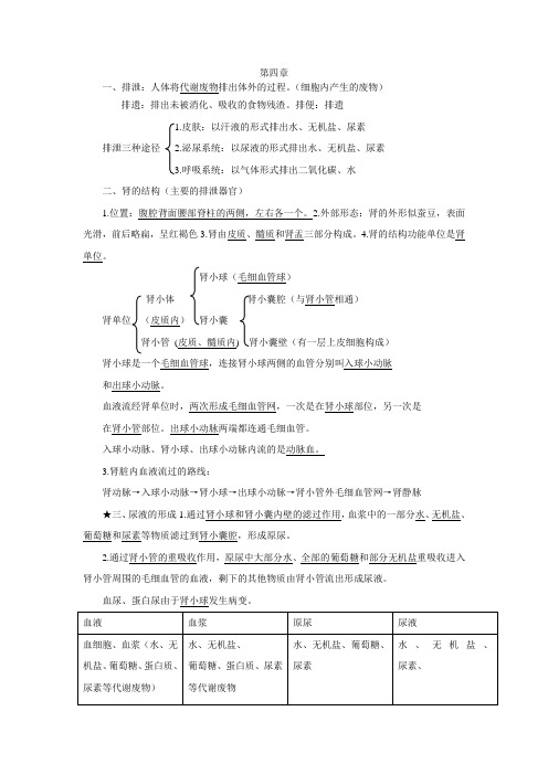 生物七年级下册期末复习提纲