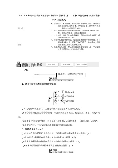 2019-2020年高中生物浙科版必修1教学案：第四章 第二、三节 细胞的分化 细胞的衰老和凋亡(含答案)