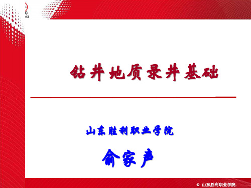 钻井工地质录井资料