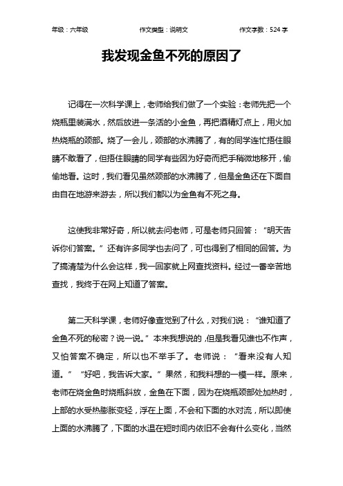 我发现金鱼不死的原因了作文【小学六年级500字】