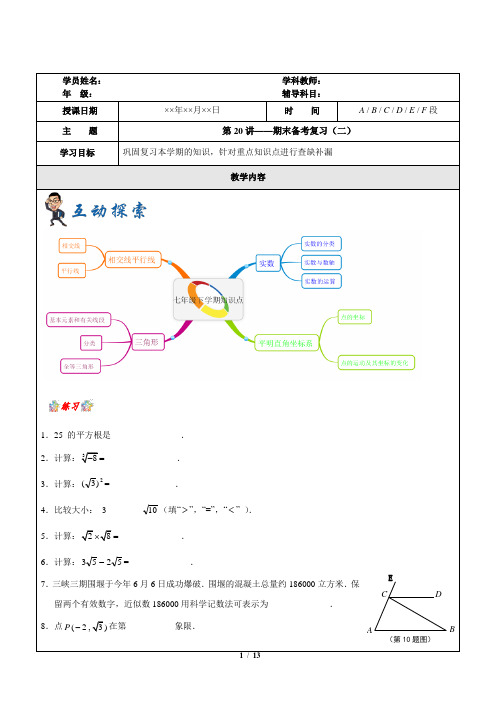 初中七年级下册数学讲义第20讲-期末备考复习(二 )D2BFZD6NDD6T