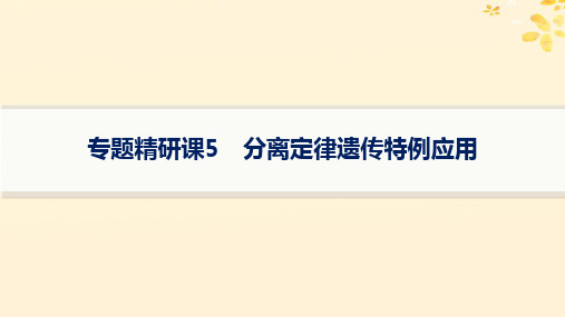 适用于新高考新教材备战2025届高考生物一轮总复习第5单元专题精研课5分离定律遗传特例应用课件