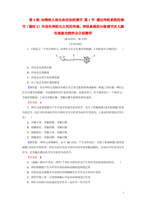 高中生物 第2章 动物和人体生命活动的调节 第1节 通过神经系统的调节(课时2)兴奋在神经元之间的传