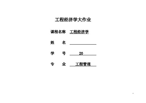 工程经济学大作业(空白)