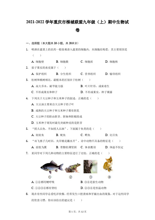 2021-2022学年重庆市梯城联盟九年级(上)期中生物试卷-附答案详解