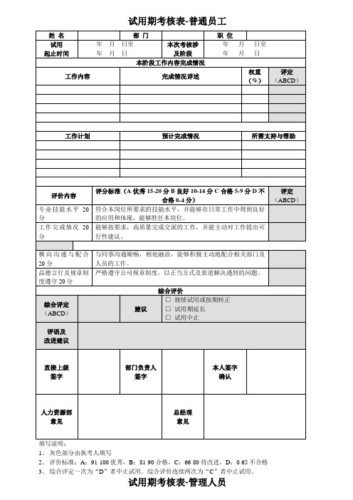 试用期经典考核表