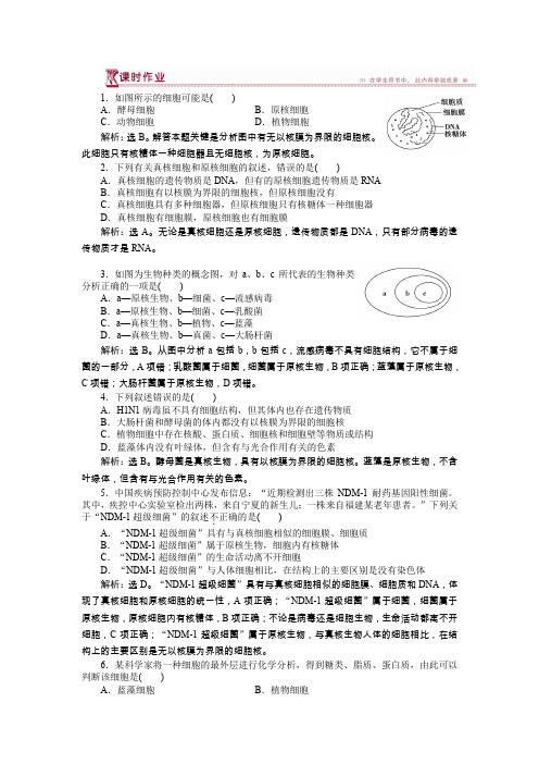 2019-2020学年高中生物苏教版必修1：第三章第二节第1讲原核细胞和真核细胞 细胞膜和细胞壁 课时作业 Word