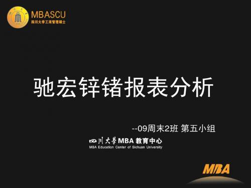2019-驰宏锌锗财务报表分析-文档资料