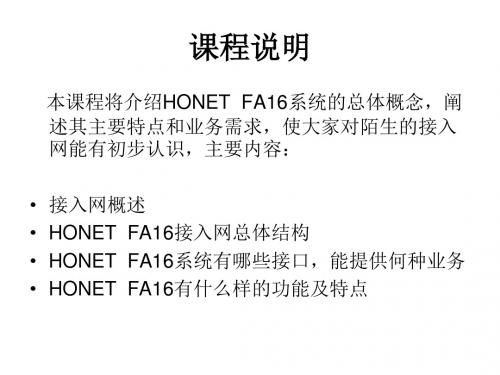 华为接入网和HONET系统概述