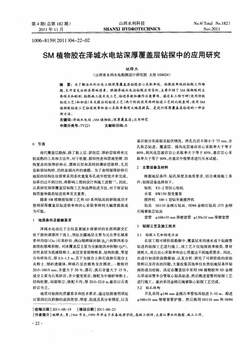 SM植物胶在泽城水电站深厚覆盖层钻探中的应用研究