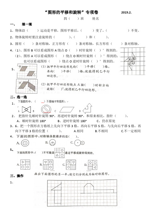 平移和旋转专项卷  四年级