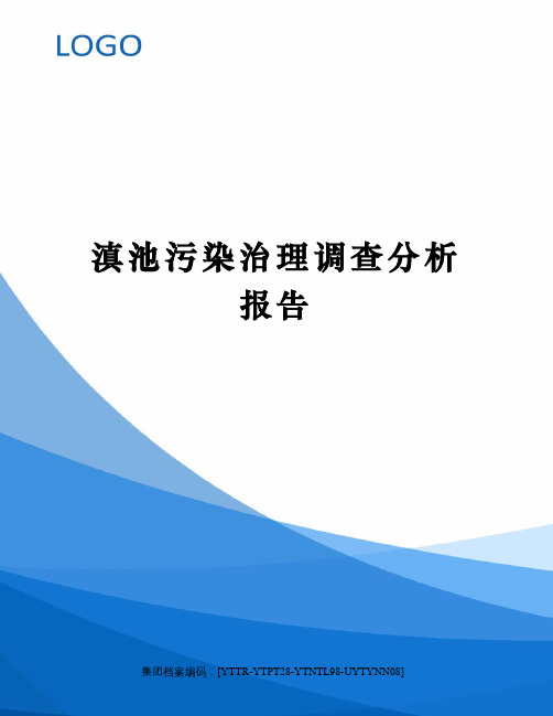 滇池污染治理调查分析报告修订稿