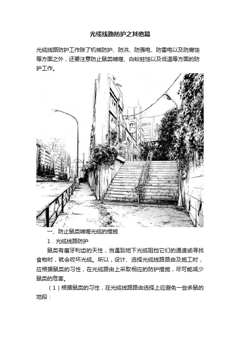 光缆线路防护之其他篇