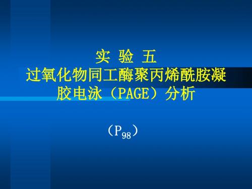 实验五过氧化物同工酶PAGE分析