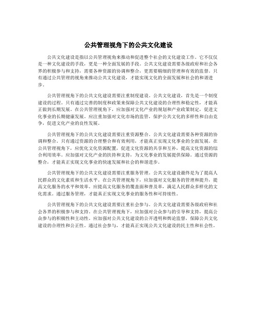 公共管理视角下的公共文化建设