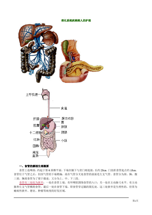 护士资格考试自学张老师精讲第三章消化系统疾病病人的护理