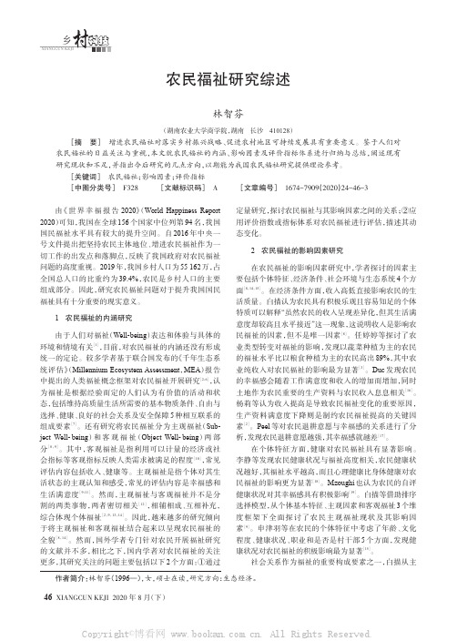 农民福祉研究综述