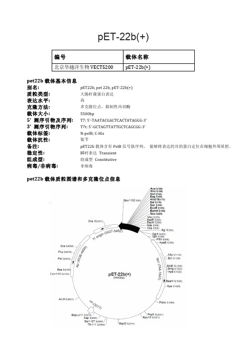 pET-22b(+)大肠杆菌表达载体说明