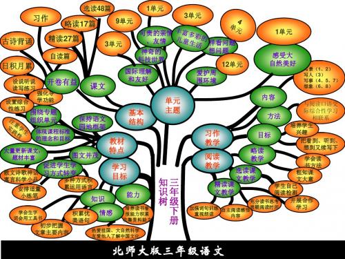 北师大三年下册知识树