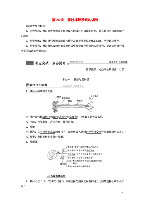 2022届高考生物一轮复习第八单元生命活动的调节第24讲通过神经系统的调节学案苏教版